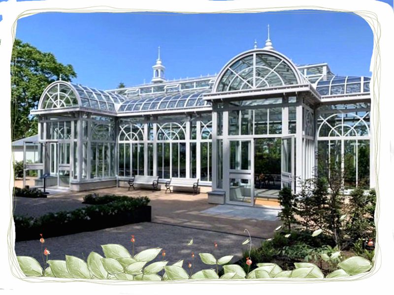 A Wedding Venue Like No Other: William’s Victorian Greenhouse Story